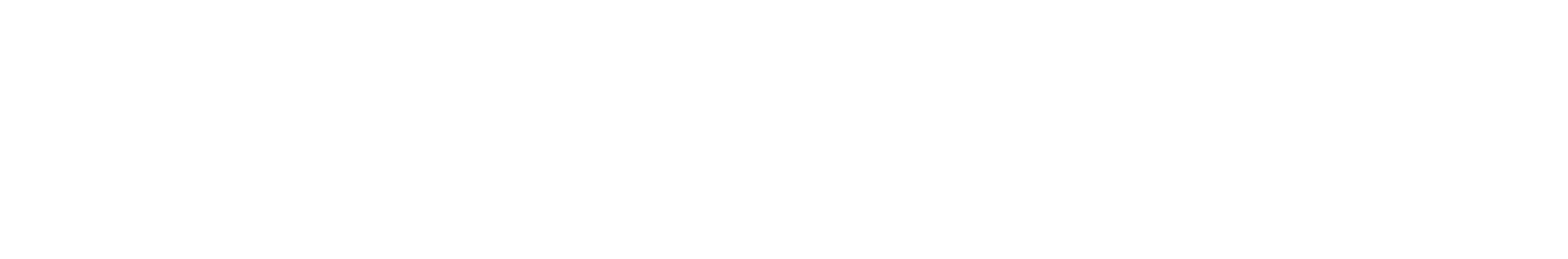 Assistant Plus GmbH